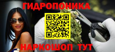 apvp Дубна