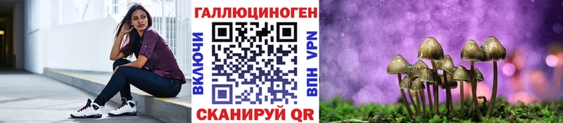 Галлюциногенные грибы Psilocybe  Мурманск 