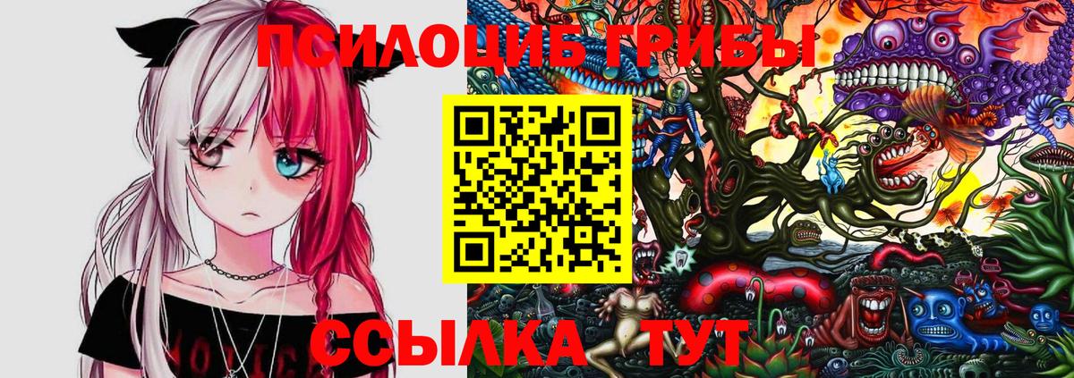 Галлюциногенные грибы Magic Shrooms  Вход с VPN  Галлюциногенные грибы мухоморы  Мурманск 