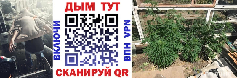 blacksprut зеркало  где купить наркоту  Мурманск  Бошки марихуана сатива 